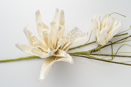 优雅的春花白色背景的假花婚礼背景图像图片