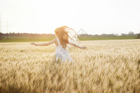 加拿大小麦快乐的夏天和自由美丽的小女孩在阳光明媚的一天在麦田背景