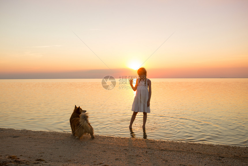 女孩带着狗在海散步图片