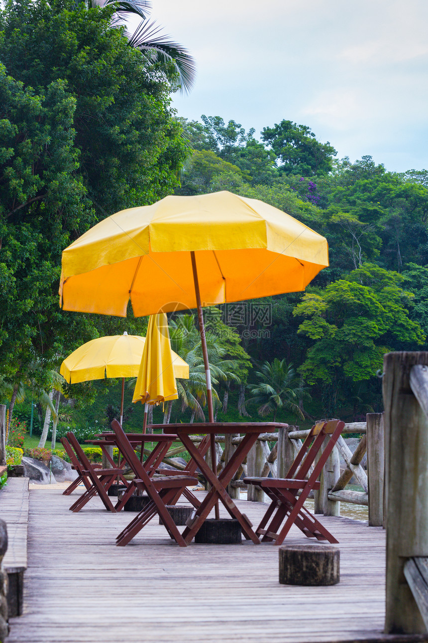 丛林背景的海滨咖啡馆风景布拉齐尔图片