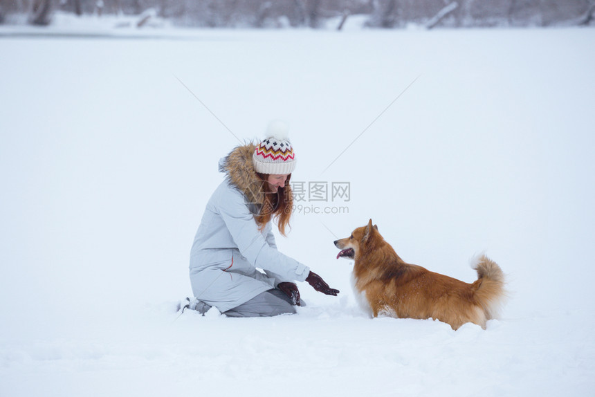 冬天和主人一起在户外玩耍的狗图片