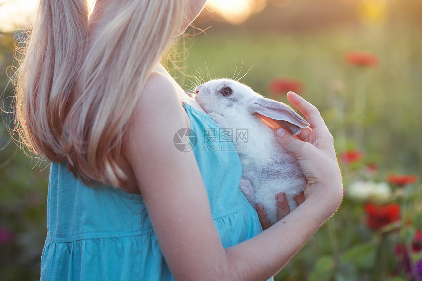 美丽的金发女和兔子阳光明媚的夏日图片