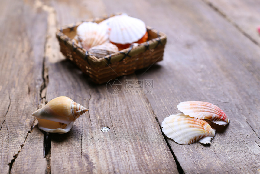 木桌上的贝壳和海星图片