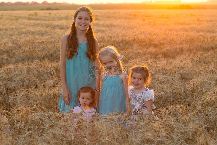 四个笑着的小女孩在麦田里图片