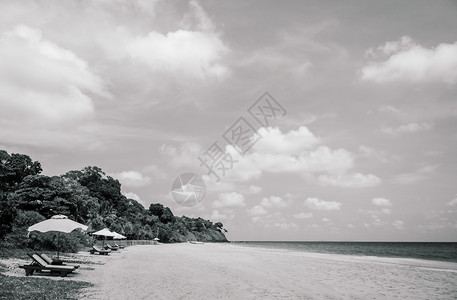夏季沙滩和雨伞天空晴朗的白沙滩图片
