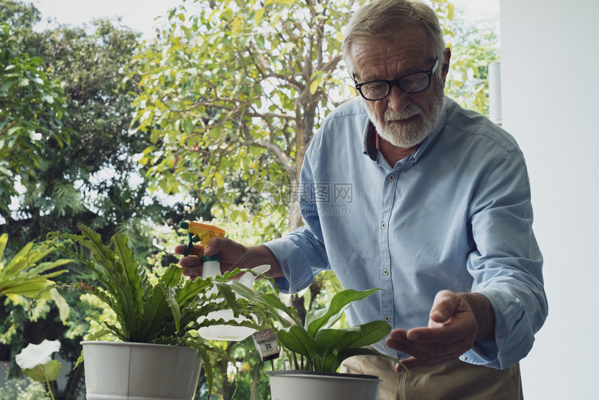 老年男老年男子细心照料花草植物图片