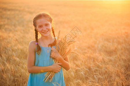 小女孩拿着小麦在麦田里拍照图片