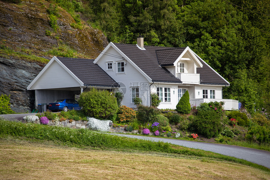 传统挪威木制房屋站在草坪和山丘上图片