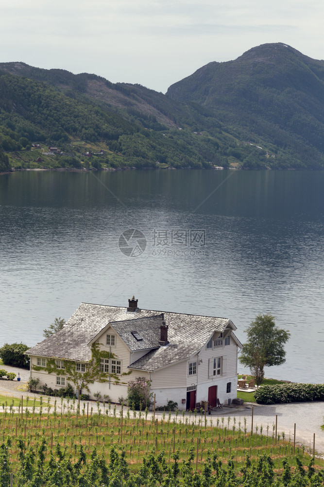 北峡湾岸边的传统挪威人住房图片