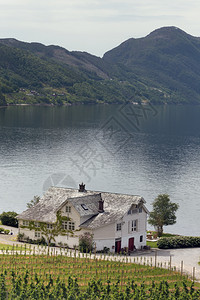 北峡湾岸边的传统挪威人住房图片