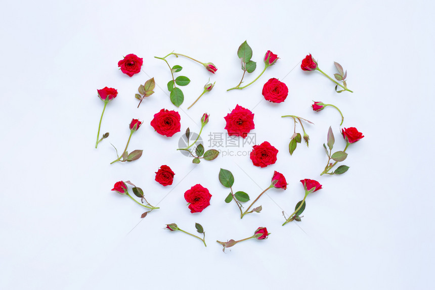 白色背景上的玫瑰心脏形状和顶部视图图片