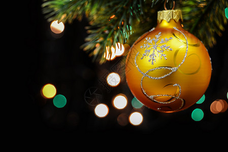 黄色圣诞舞会挂在黑色背景的圣诞树枝上带多色布基的黑背景上图片