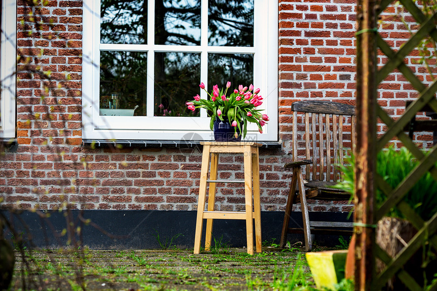 花园的瓶里郁金香在美丽的房子背景下图片