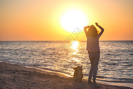 女孩和一条狗的海边风景图片