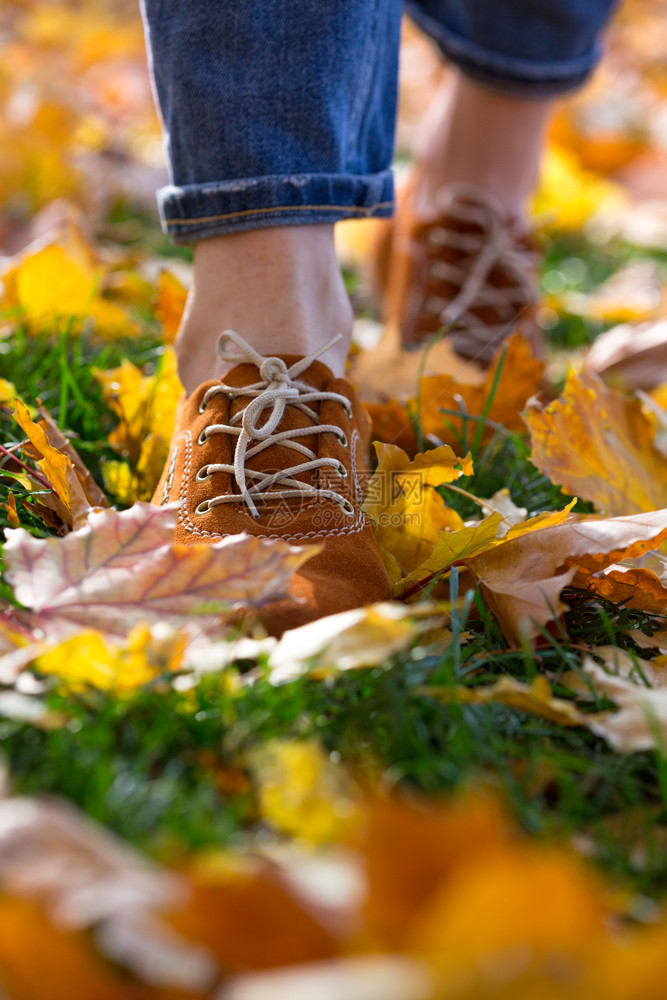 秋天女孩在公园里走着妇女和秋天树叶中的鞋子图片