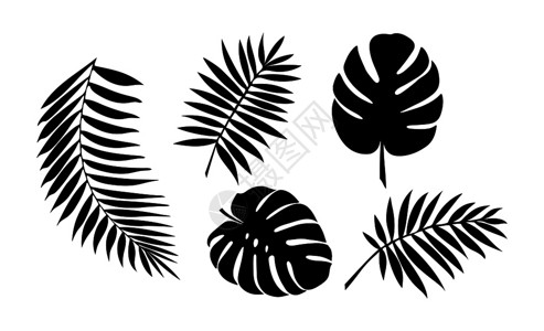 热带植物树叶剪影背景图片