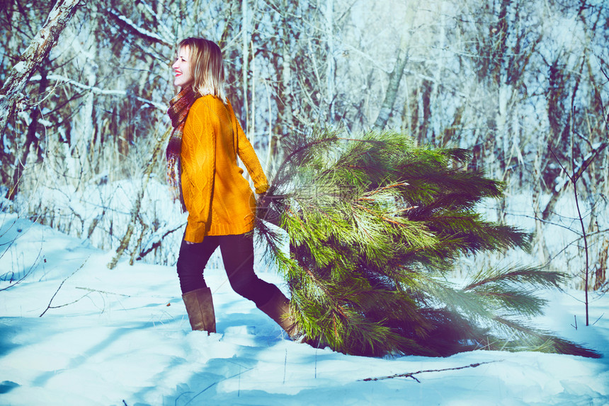 森林里拖着圣诞树的女孩图片