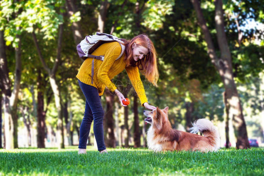 训练女童和狗群在公园中行走图片