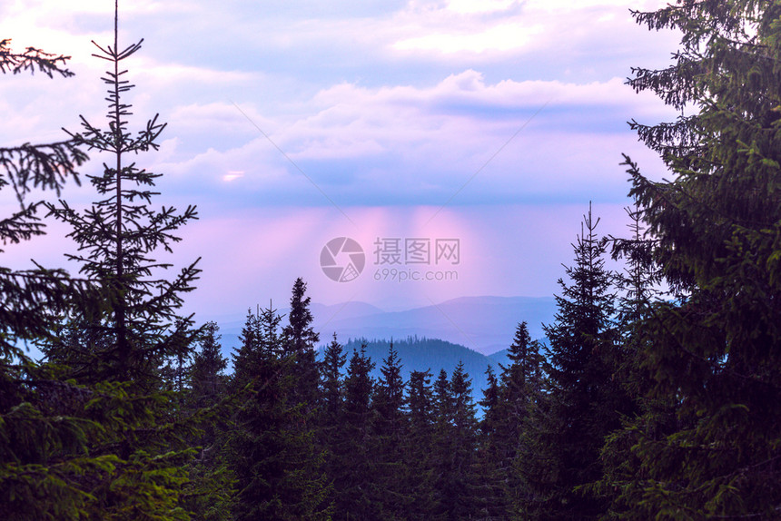 美丽的山地景观松林的背景和日落的天空背景图片