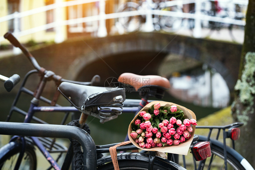 美丽的粉红色郁金香在阿姆斯特丹的一辆旧自行车上图片