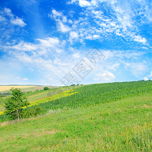 山地和蓝天空的风景农业地貌图片