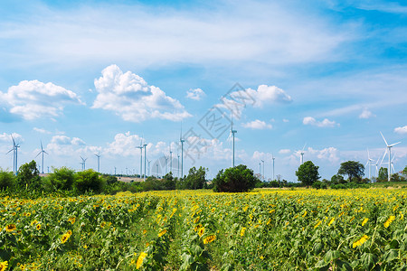 太阳花场替代能源的风力涡轮机生态动力清洁能源概念图片