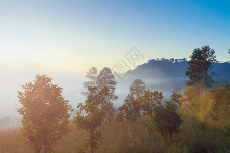 山上日出时有树木和雾新鲜的自然户外背景旅行目的地图片