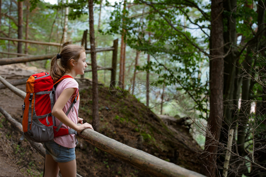 女孩背站在森林的足迹上图片