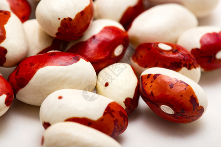 白色的红豆和类组图片