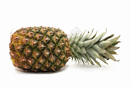 菠萝白色背景的热带水果图片