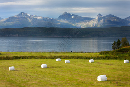 挪威北部地区的耕地和山峰图片