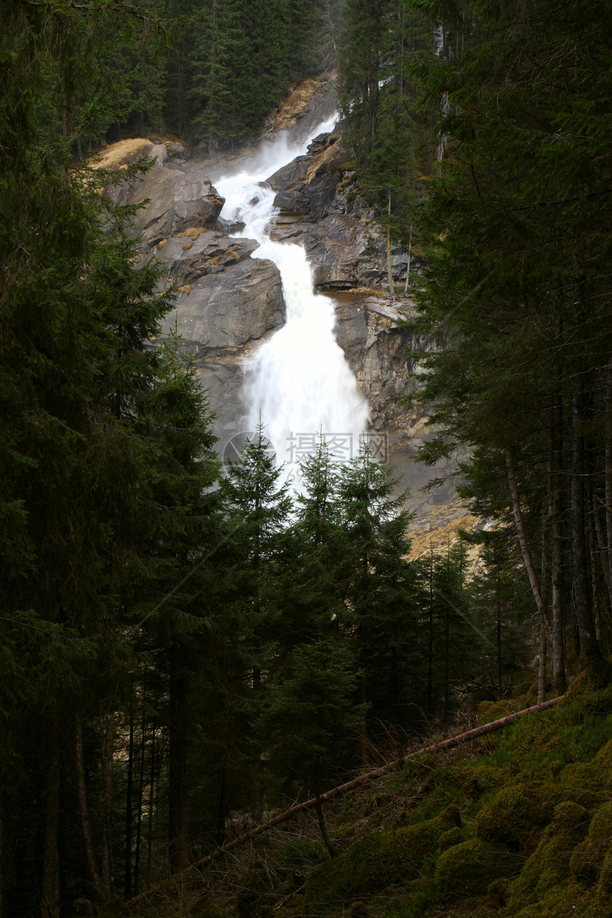 巨大的瀑布倒塌周围有针状林树图片