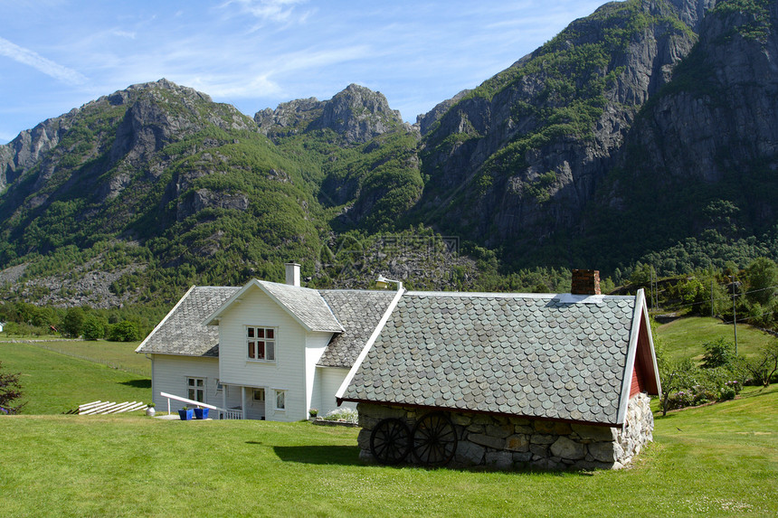站在草坪上的传统挪威木制房屋图片