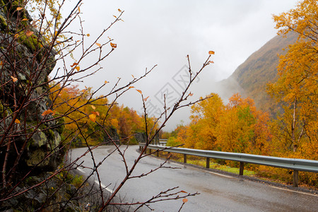 秋天在雾的气下在诺维吉亚山脉的秋天路图片