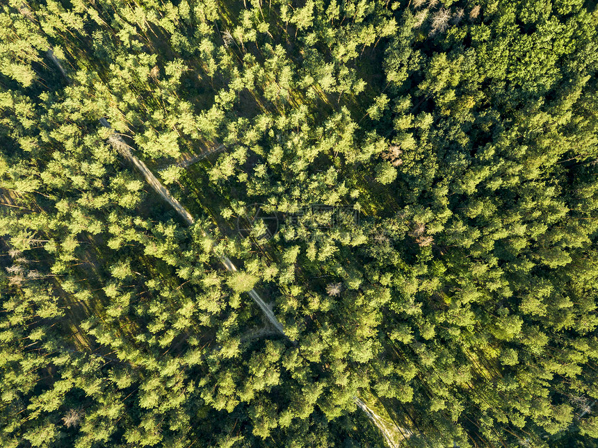 无人驾驶飞机在森林的空中景象图片