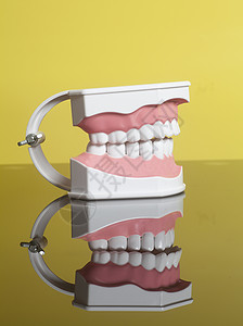 人体牙模型零件下巴高清图片