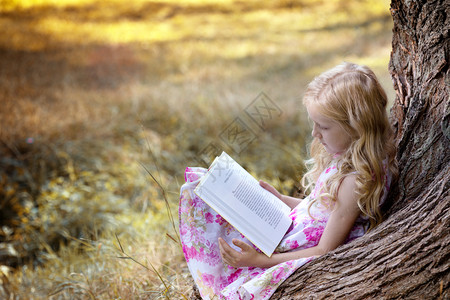 女孩坐在树下阅读本书图片
