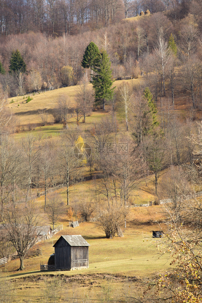 秋天风景山丘和木棚上树林图片