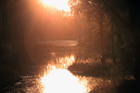 美丽的景观日落时森林中的河流图片
