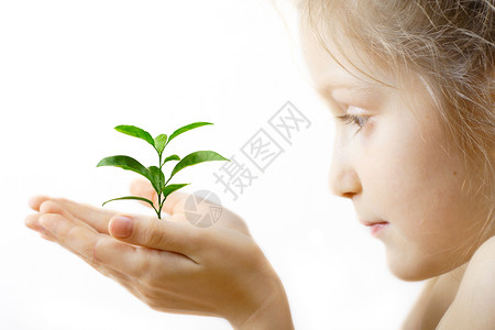 小孩用白色背景握着小发芽的手怀着白种背景图片