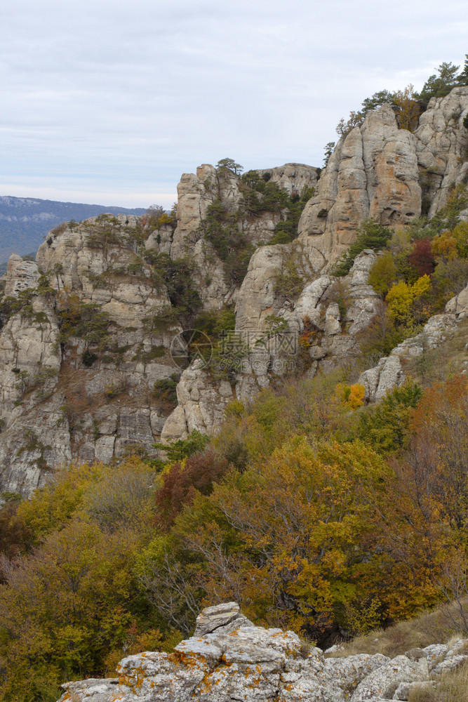 秋天的山上德默吉图片