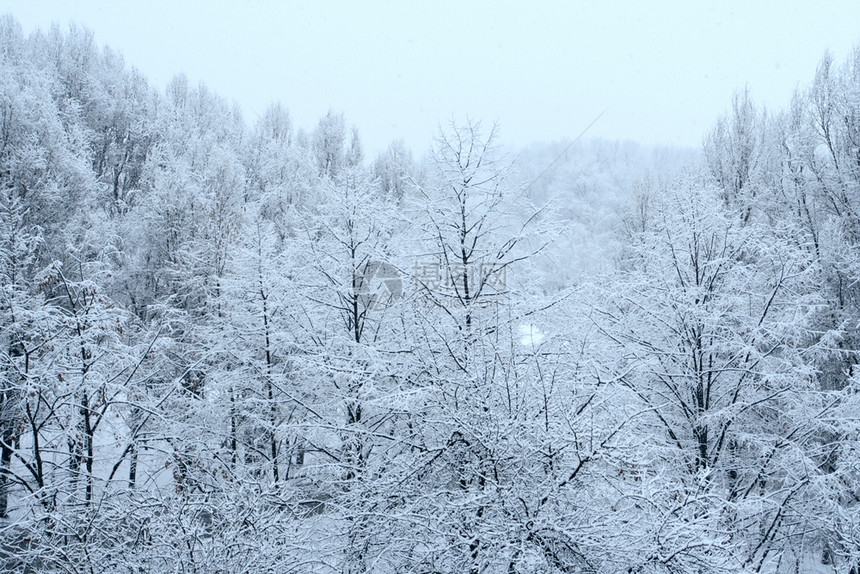 白雪皑皑的山谷图片