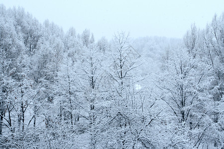 白雪皑皑的山谷图片