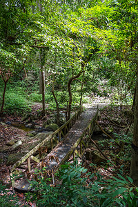 泰国清迈丛林中的老木桥泰国清迈丛林中的旧木桥图片