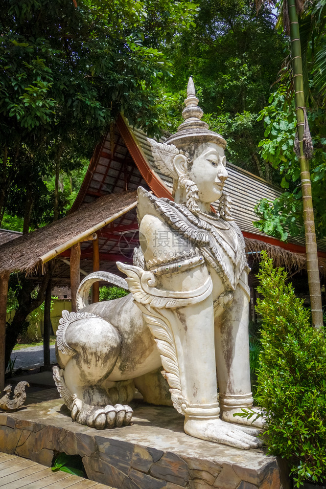 泰国清迈白像寺泰国清迈watpaladtemple的雕像图片