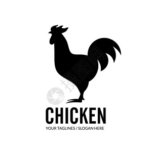 公鸡矢量roste插图用于标识的简单鸡设计要素背景