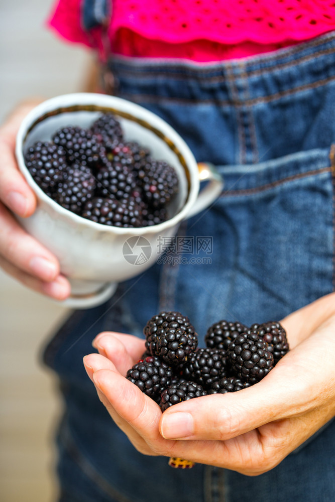 手握黑莓果图片