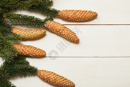 白色背景圣诞节白色背景上带锥形的圆树枝图片