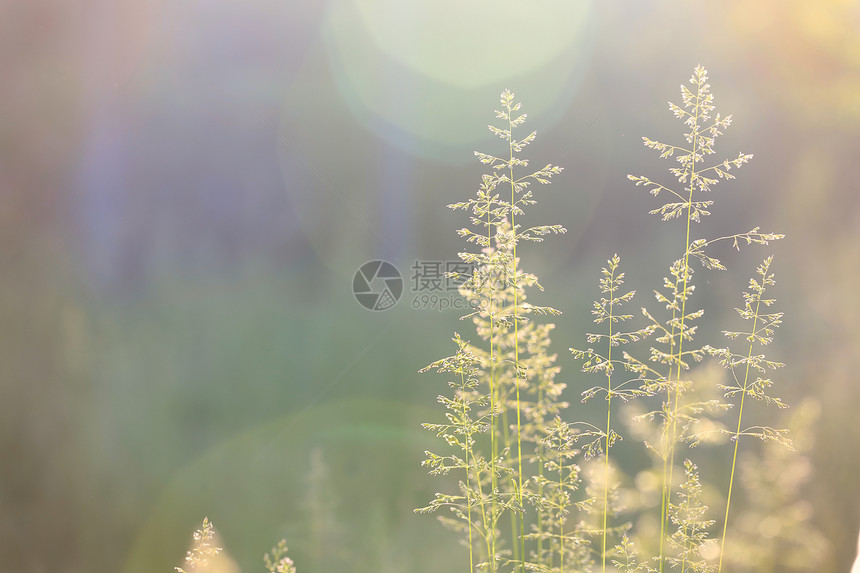 光束照着相机亮的太阳光束抽象草背景图片