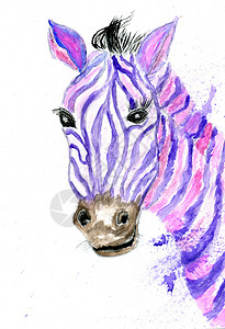 斑马卡通手画漫可爱动物紫斑马水彩画背景